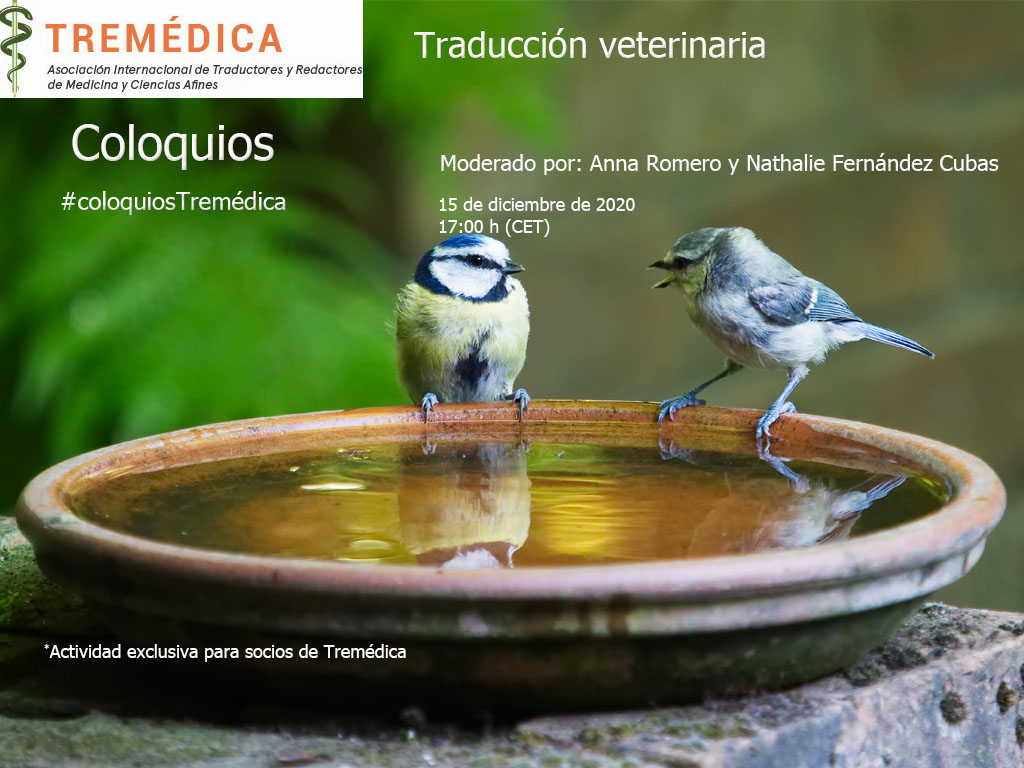 Featured image of post Medicina Veterinaria Wallpaper Pc Here you can find the best hd medical wallpapers uploaded by our community